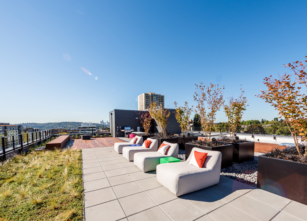 building green roof deck with Seattle and mountain views