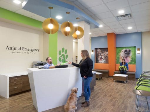 Animal Emergency Hospital of Redmond