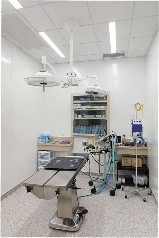 Surgery room in animal hospital