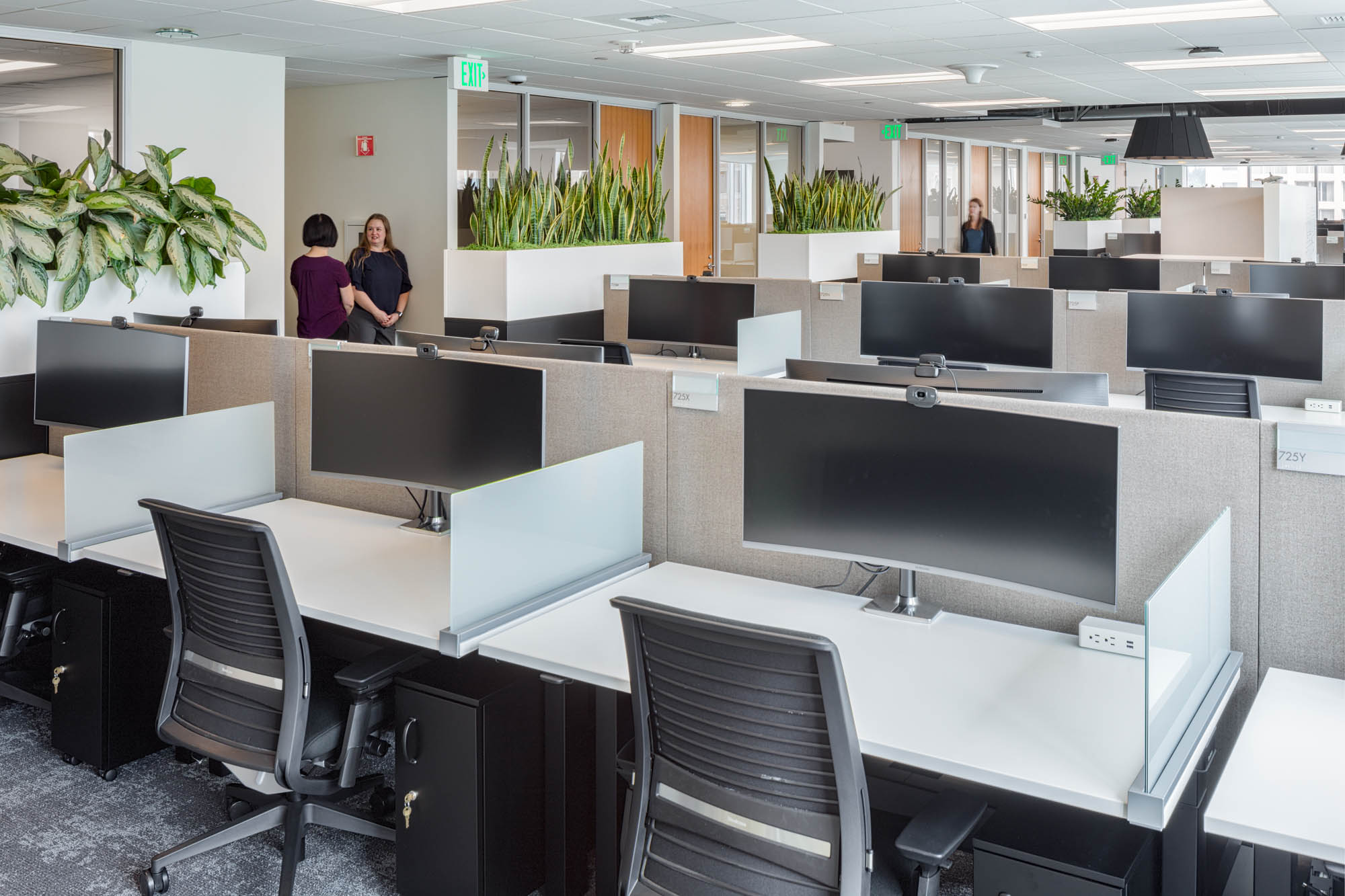 Open office and conference room spaces